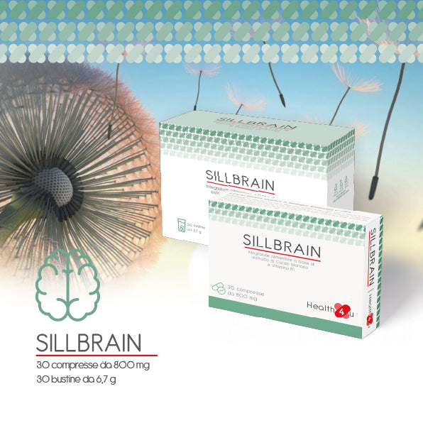 Sillbrain